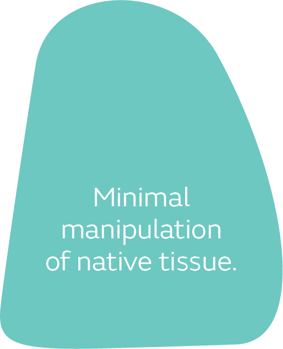 1–3 mm thickness for suturing, strength, and adaptability