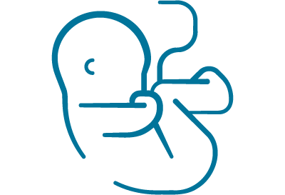 breast icon